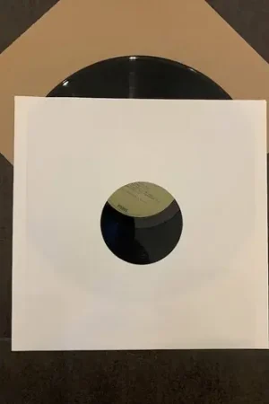 Vinyl Styl 12 Lp Inner Slv Sqr Crns 500 Cnt Bulk Fresh Stock