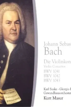 Violin Concertos Factory Price