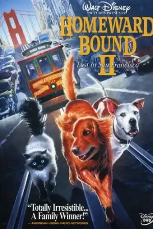 Hassle-Free Returns Homeward Bound II: Lost in San Francisco