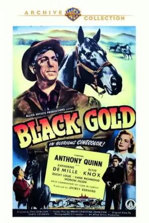 Black Gold Popular