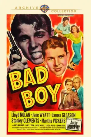 Bad Boy Low Price