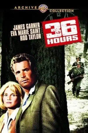 36 Hours Limited Offer