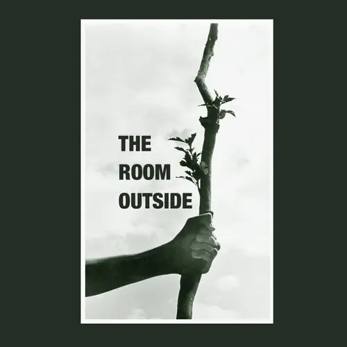 The Room Outside Reduced Price