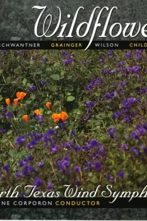 Price Drop Wildflowers