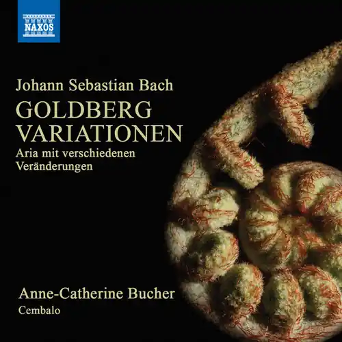 Discount Goldberg Variations