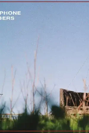 Express Delivery Scarecrow Ii