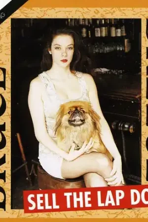 Sell the Lap Dog Direct From Factory
