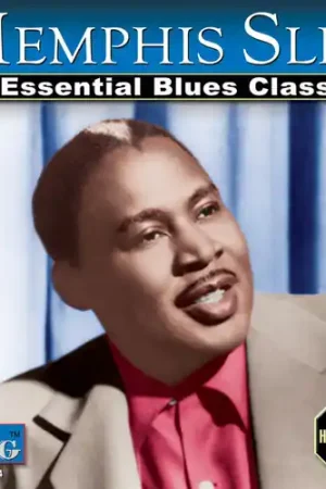 20 Essential Blues Classics Money Back Guarantee