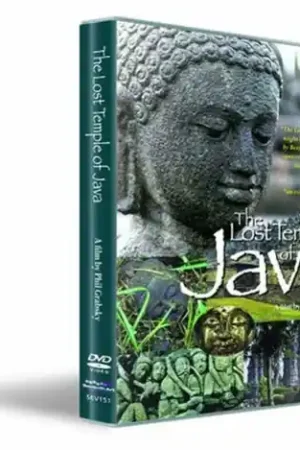 Bulk Order Lost Temple of Java