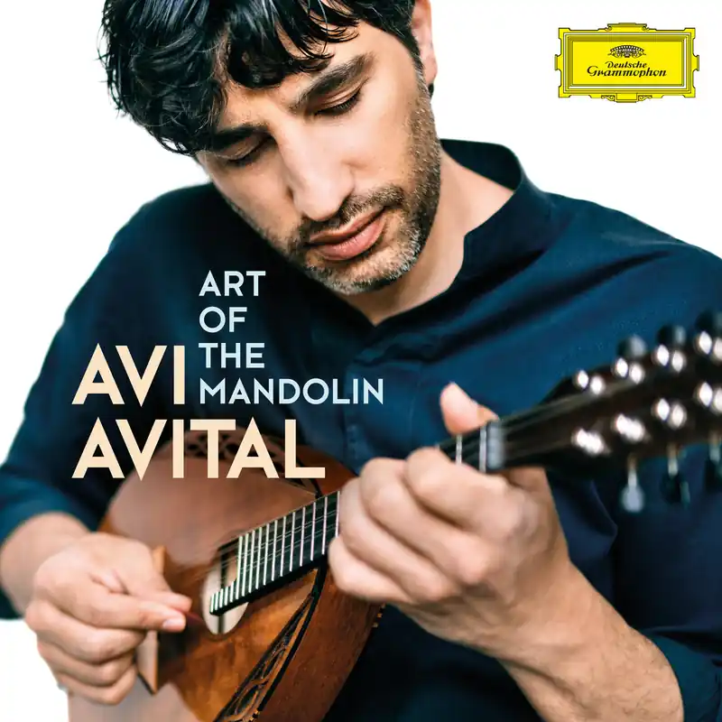Buy Direct Art Of The Mandolin (CD)
