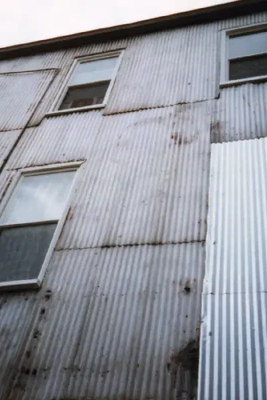 81:03 (WHITE VINYL) [Vinyl] Hassle-Free Returns