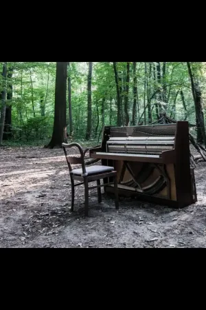 Acoustic II [Vinyl] Time-Limited