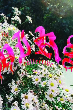 We'Re Still Here (White Vinyl) [Vinyl] Secure Checkout