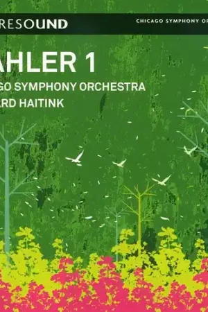 Symphony No. 1 Buy Direct