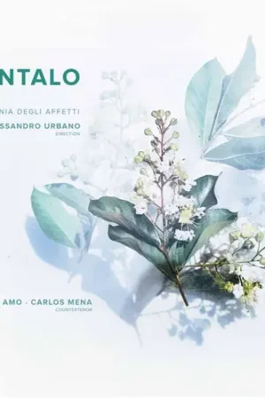 Cheap Tantalo