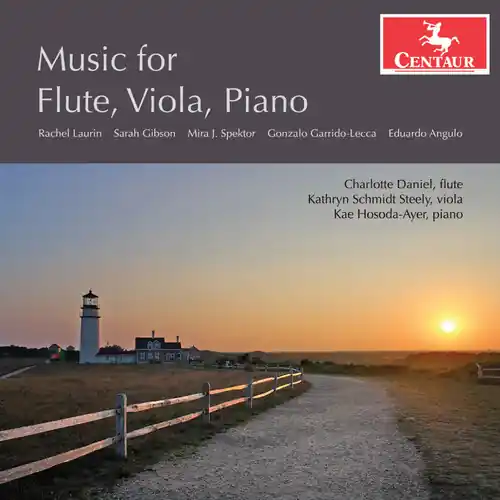 Save Now Music for Flute Viola Piano