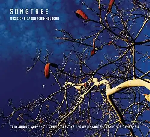 Clearance Songtree