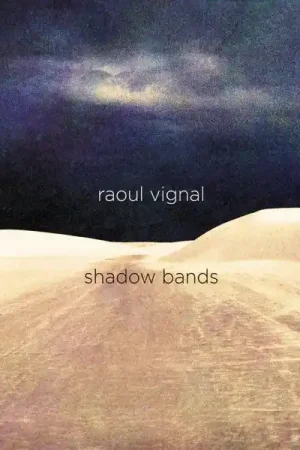 Raoul Vignal - Shadow Bands (LP) Popular