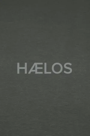 Special Offer Haelos - Earth is Not Above Ep (Single)