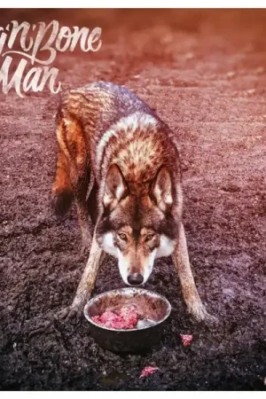 Super Sale Rag N Bone Man - Wolves (LP)