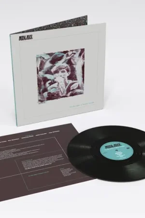 Handmade Midlake - For the Sake of Bethel Woods (LP)