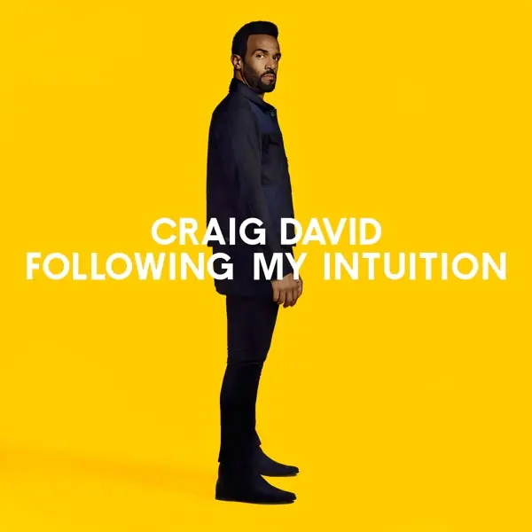 Direct From Factory Craig David - Following My Intuition (2 LPs)
