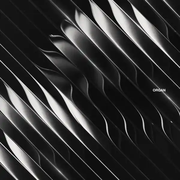 Get Yours Dimension - Organ (2 LPs)