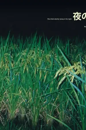 Sale Reiki Kudo - Rice Field Silently Riping In the Night (LP)