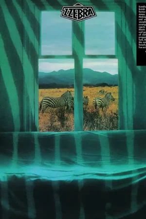 Best Choice Zzebra - Zzebra (LP)