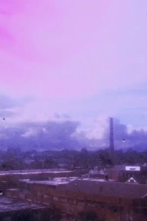 Flyying Colours - You Never Know (LP) Viral