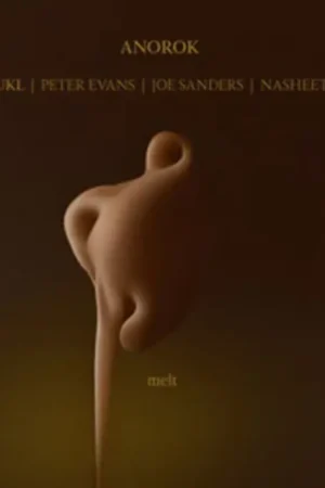 Jure Pukl - Melt (LP) Genuine