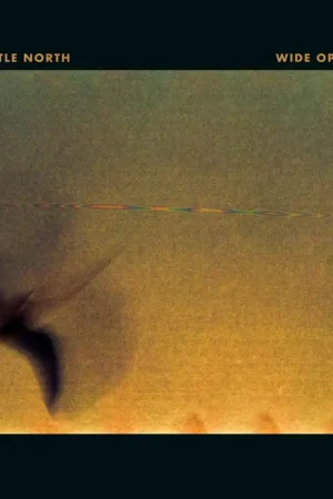 In Demand Little North - Wide Open (LP)