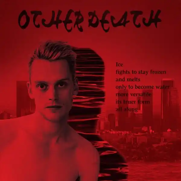 Final Sale Sean Nicholas Savage - Other Death (LP)