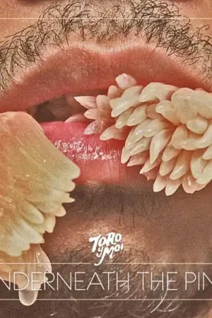 Bulk Order Toro Y Moi - Underneath the Pine (LP)