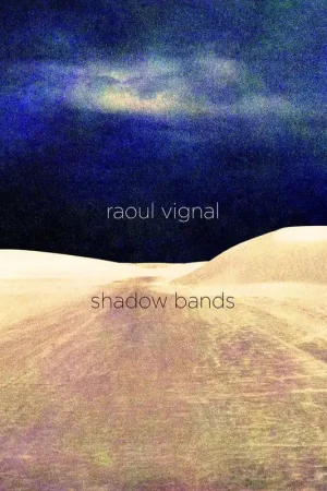 Raoul Vignal - Shadow Bands (LP) Viral