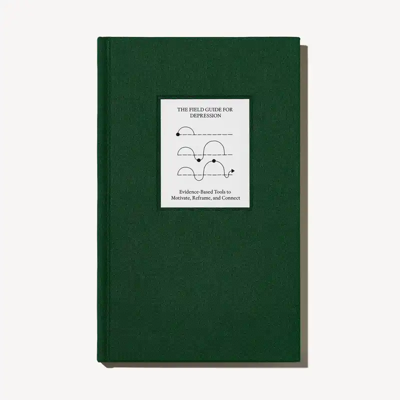 Grab Now The Field Guide for Depression